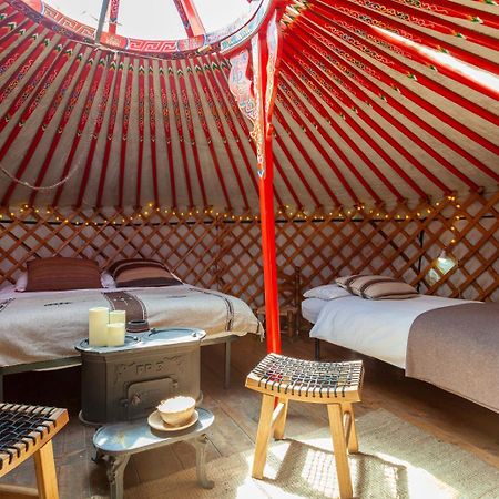 Hobo Camping Courmayeur Exterior foto