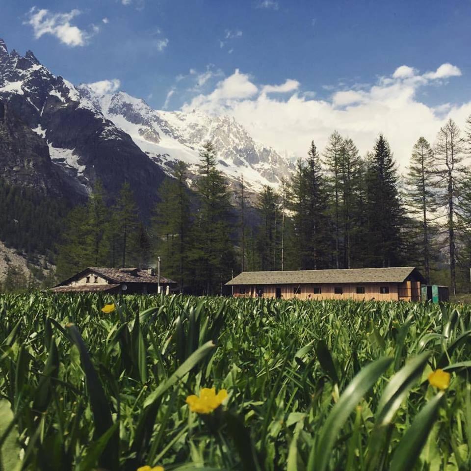 Hobo Camping Courmayeur Exterior foto