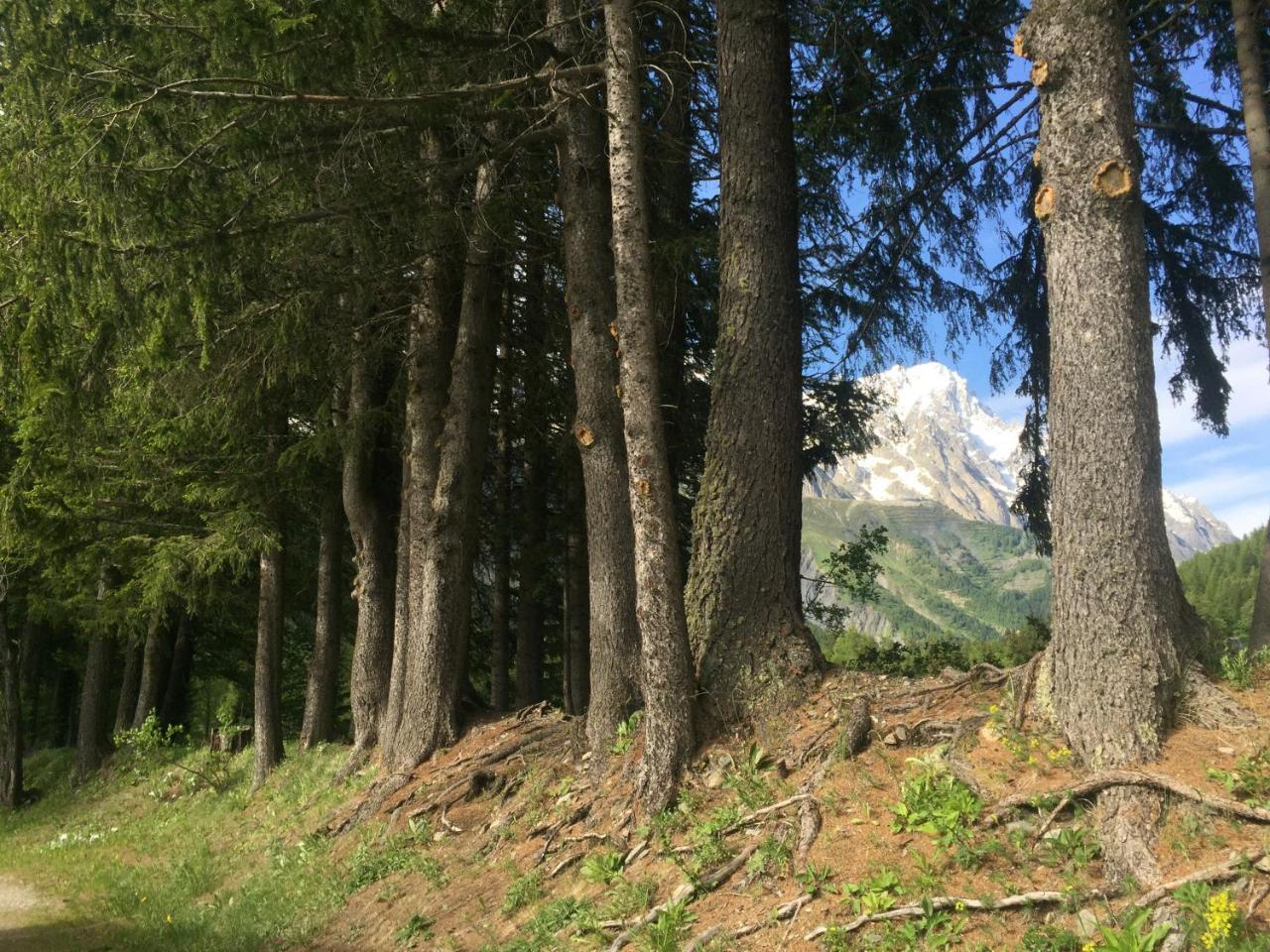 Hobo Camping Courmayeur Exterior foto